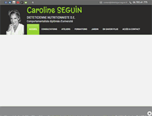 Tablet Screenshot of dietetique-seguin.fr